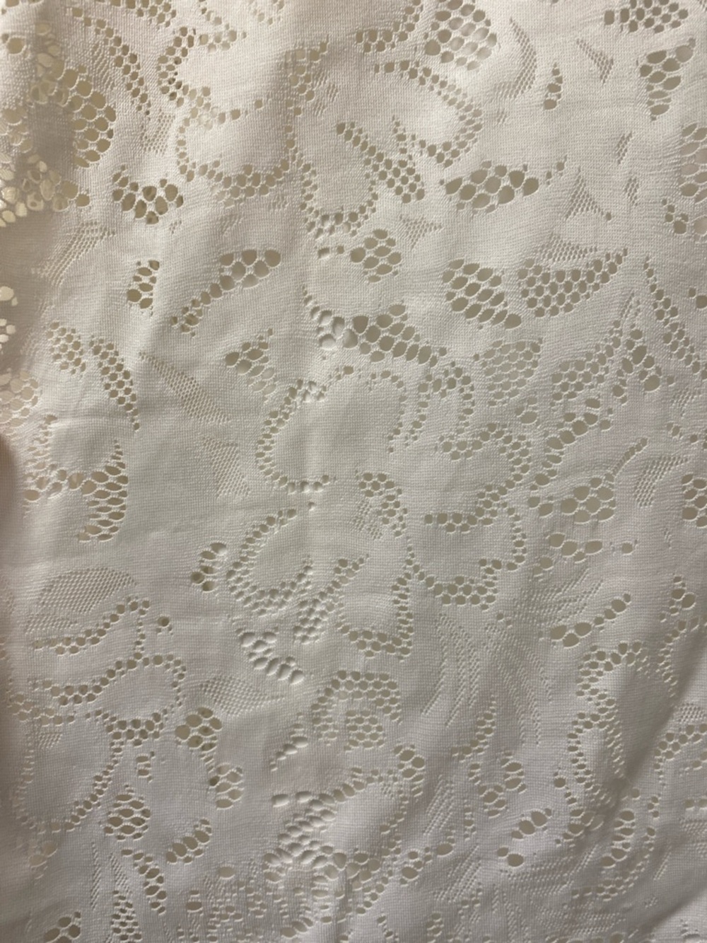 Jessica Simpson Cream Indira Gardenia Lace Top - Picture 2 of 5